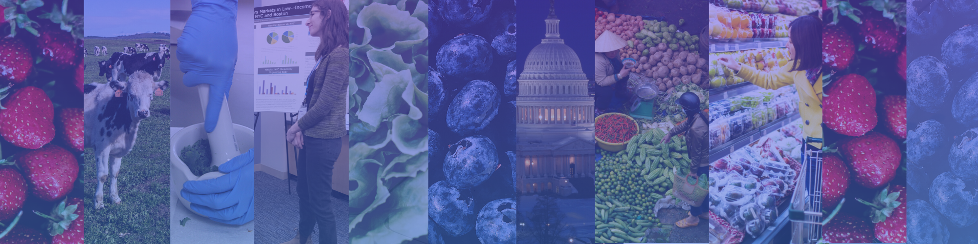 A photo collage with a blue overlay depicting events, healthy foods, and the capitol building in DC