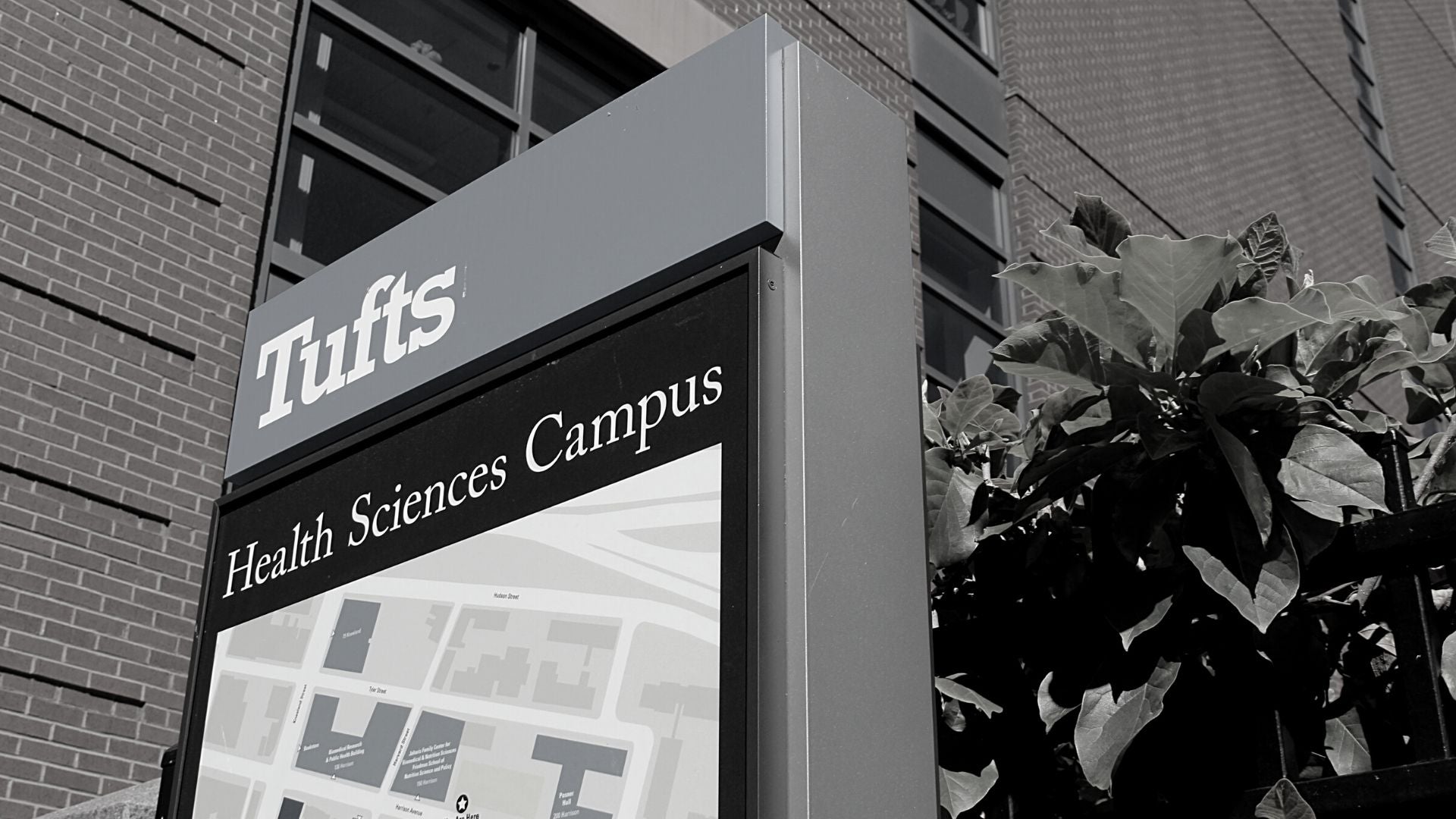 A photo of the Tufts Health Sciences campus wayfinding sign on Harrison Avenue in Boston