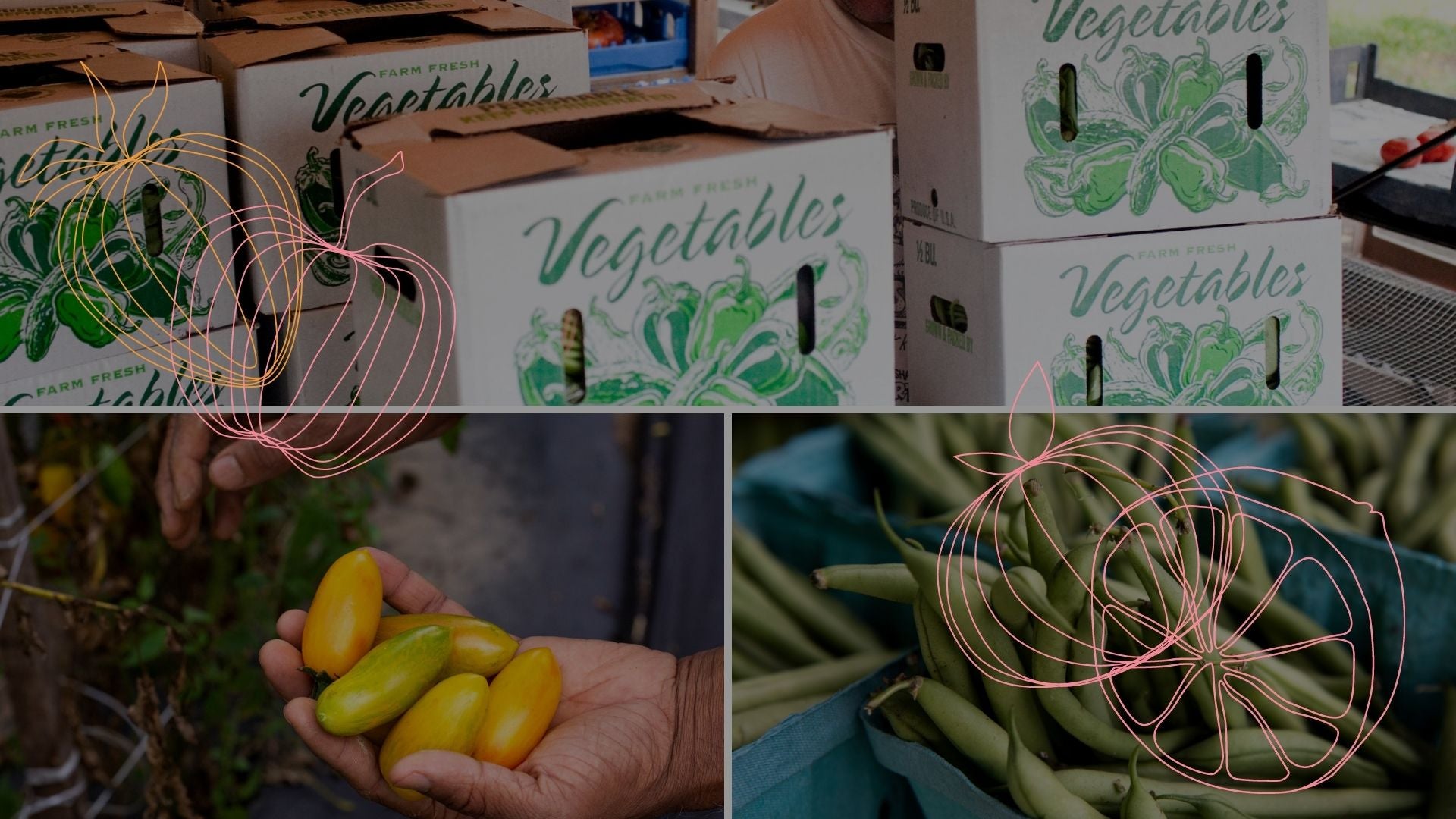 Boxes of fresh fruits and vegetables were distributed and local food systems got a boost from a student-led "Connector"